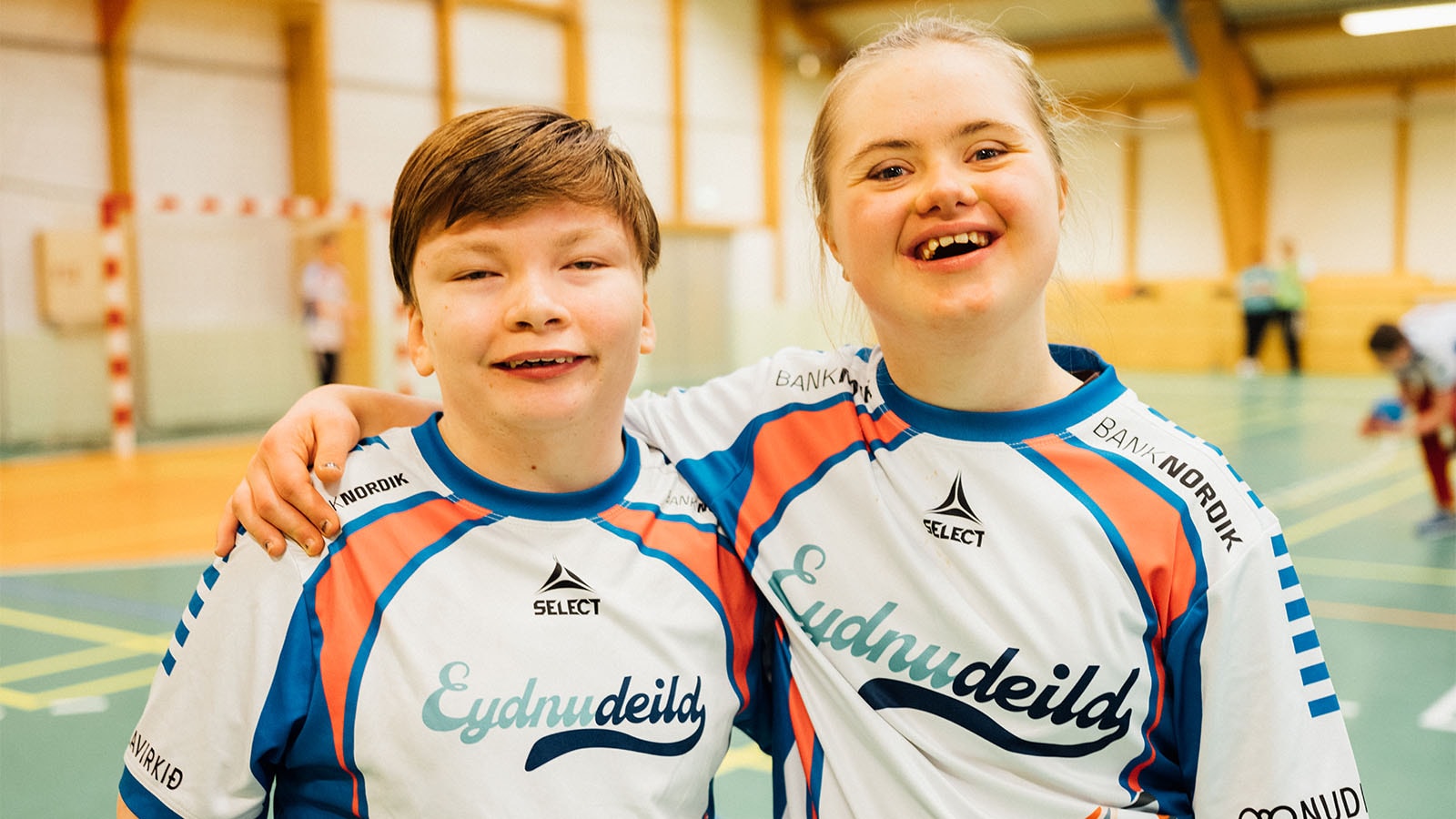 Eydnudeildin høvuðsstuðul