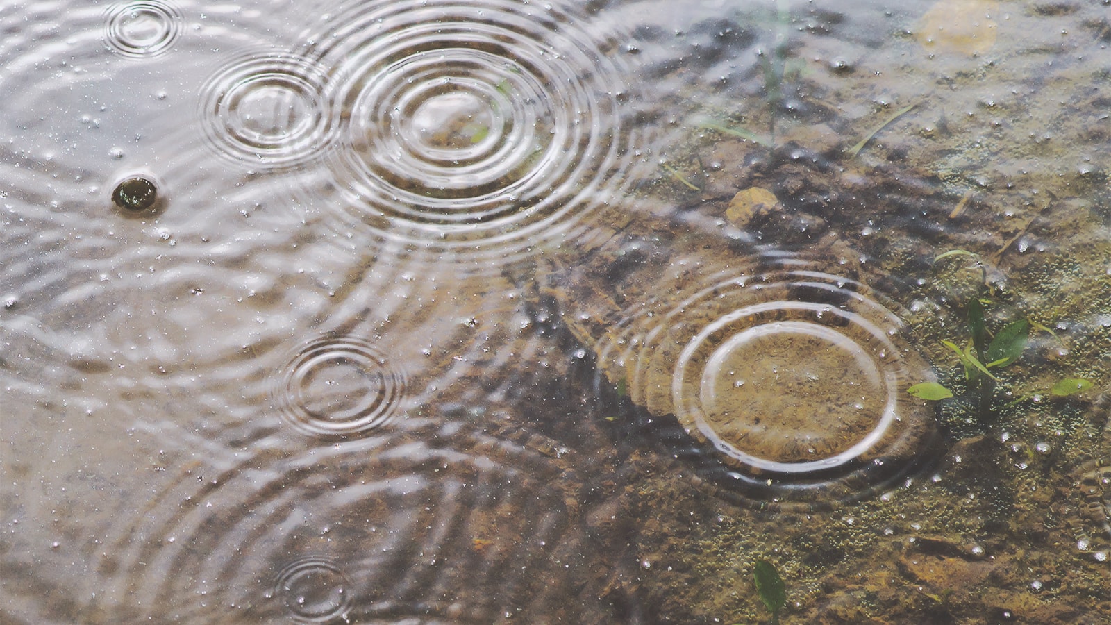 Íløgur - ringar í vatni